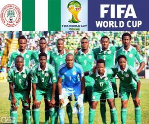 пазл Выбор Нигерии, Группа F, Бразилия 2014